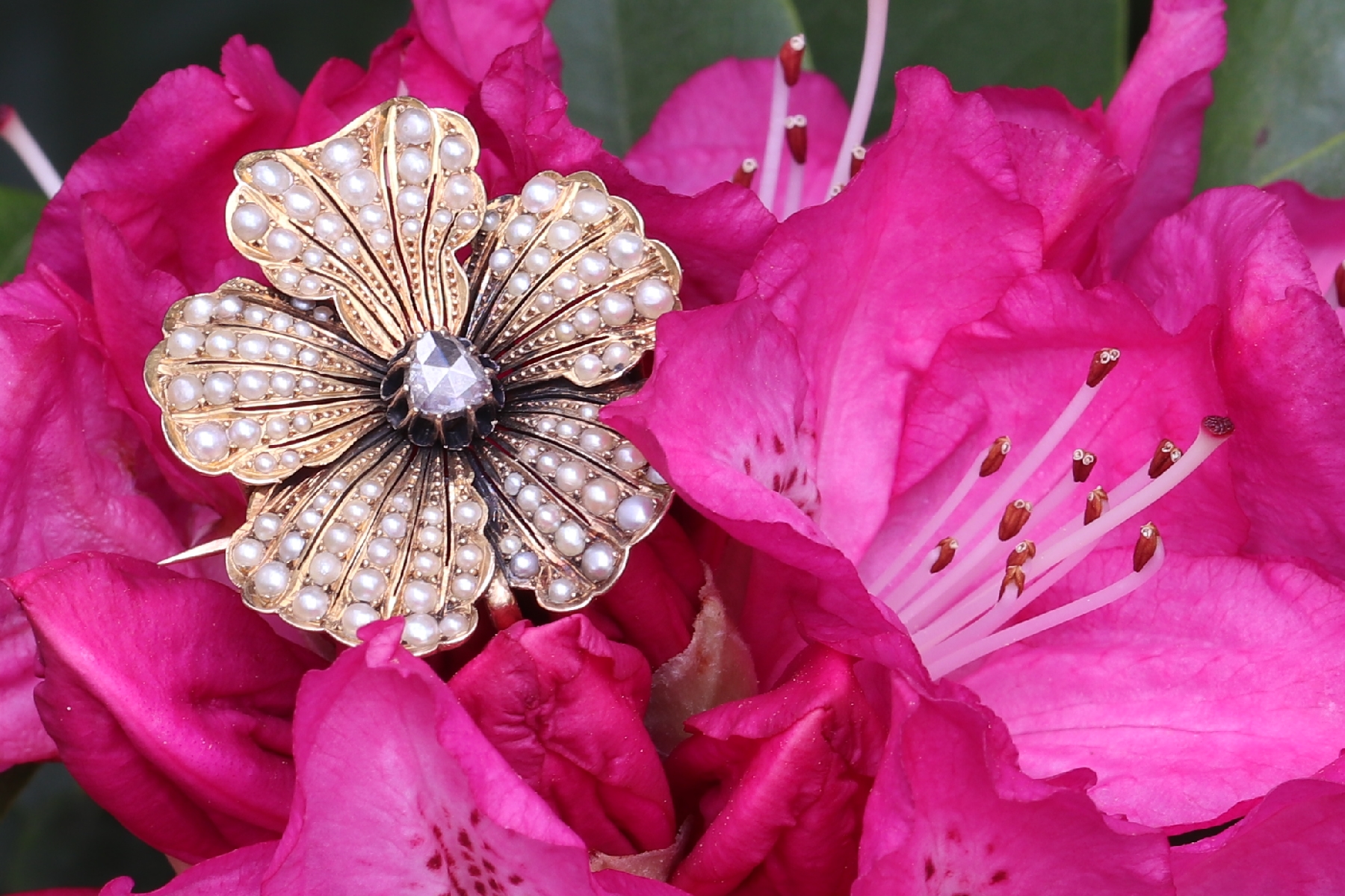 Antique gold pansy pendant and brooch symbol of love and remembrance. (image 2 of 7)